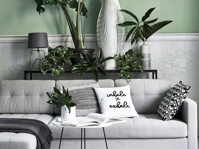 plants in a living room with grey sofa, green walls and black and white print cushions