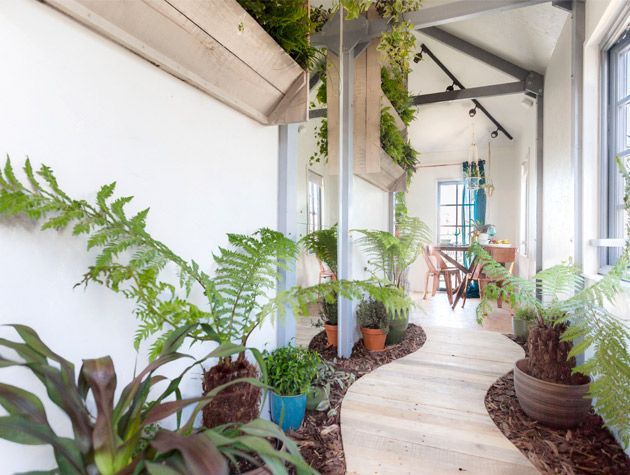 foliage pathway in home