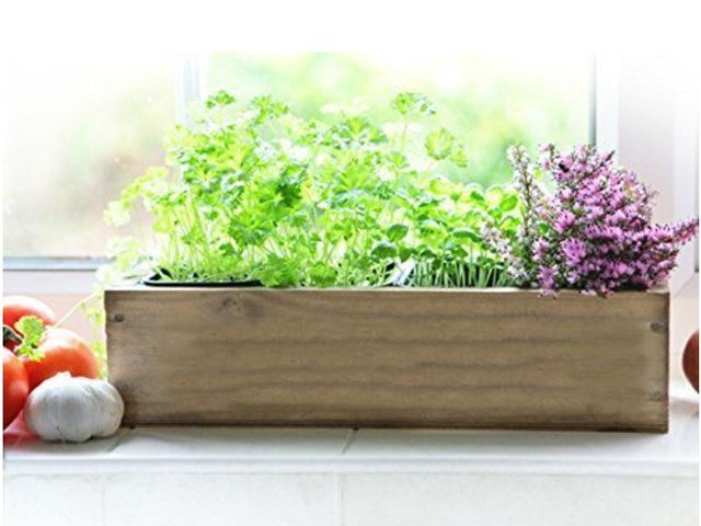 herb garden on a kitchen windowsill by craftsmen ltd on etsy