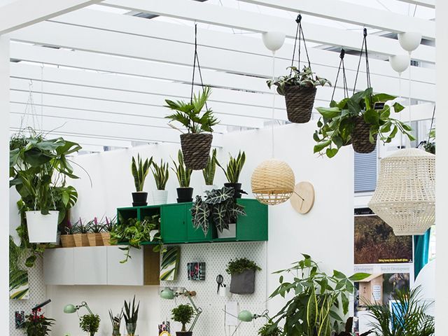 hanging plants in the ikea indoor garden design #plantswork installation at chelsea flower show 2018