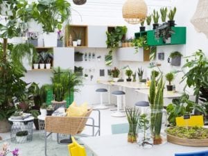 ikea and indoor garden design #plantswork installation at chelsea flower show 2018