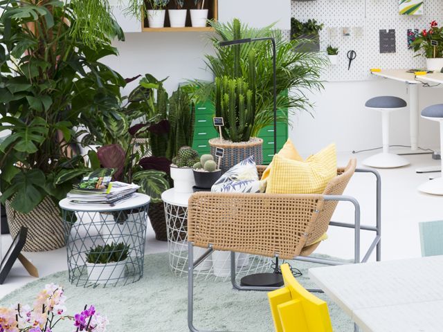 ikea with indoor installation #plantswork by indoor garden design at chelsea flower show 2018