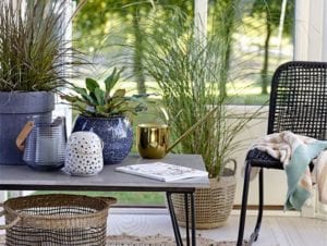 indoor plants used decoratively on top of table in conservatory