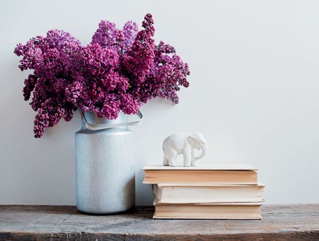 purple flowers in silver vase on mantlepiece with books