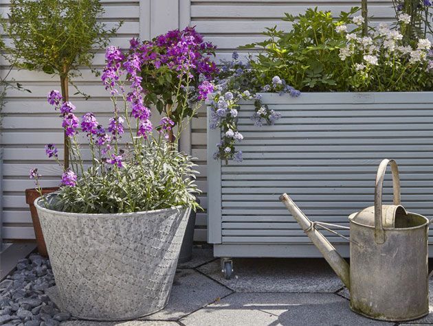 Garden plants potted planters with castors -garden-goodhomesmagazine.com