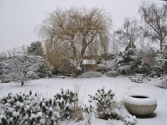 Back garden covered in snow -unsplash-garden-goodhomesmagazine.com