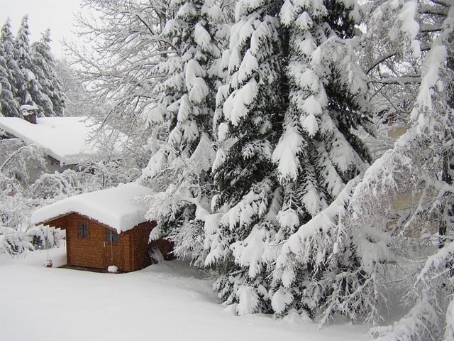 Back garden with shed covered in snow -pixabay-garden-goodhomesmagazine.com