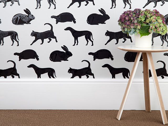 Black and white wallpaper with cats, dogs, rabbits and tortoises, some with their skeletons showing as if they have been X-rayed