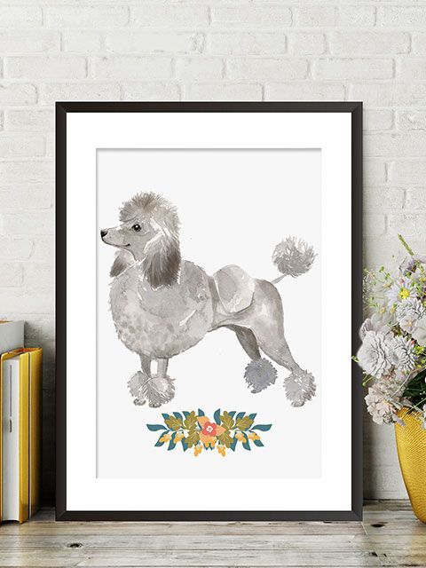 Grey poodle illustration with a black frame on a shelf