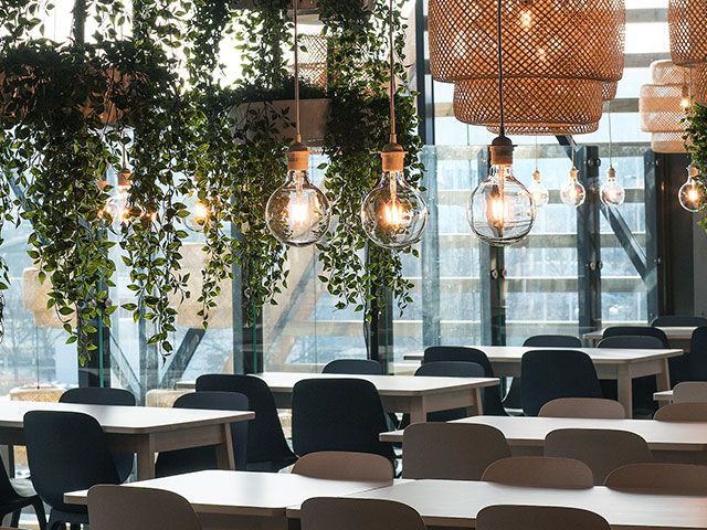 Ikea Greenwich's sustainable dining hall, with plants hanging from the ceiling and bare fillament bulb lighting