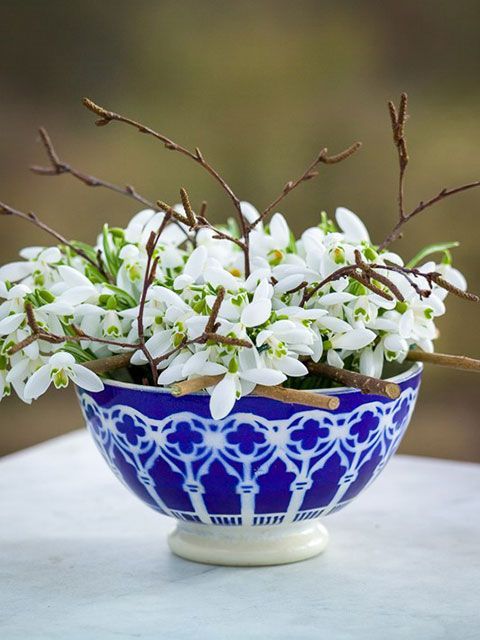 Small snowdrop flower arrangement in a blue bowl