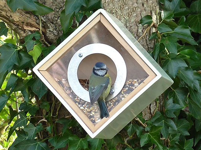 Sarah Raven diamond urban bird feeder box with a blue tit perched by the opening