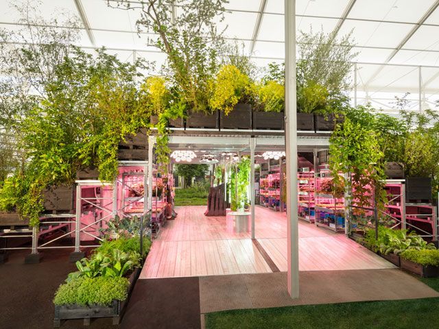 The exterior and interior of the Ikea and Tom Dixon garden at Chelsea Flower Show 2019