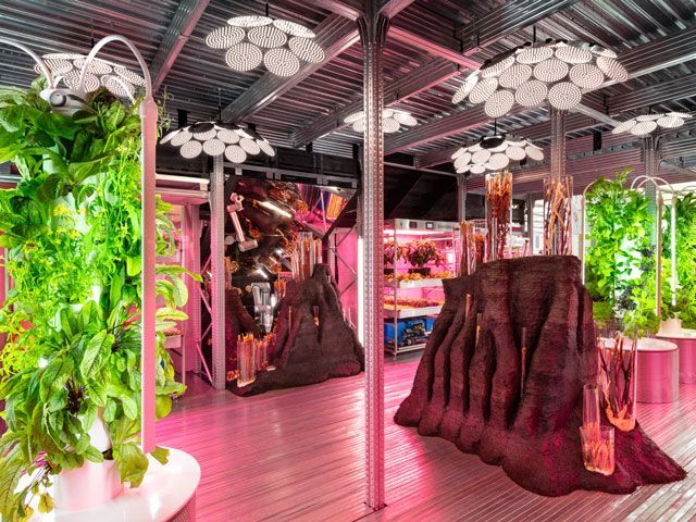 mushrooms and micro herbs at the Ikea and Tom Dixon garden at Chelsea Flower Show 2019 