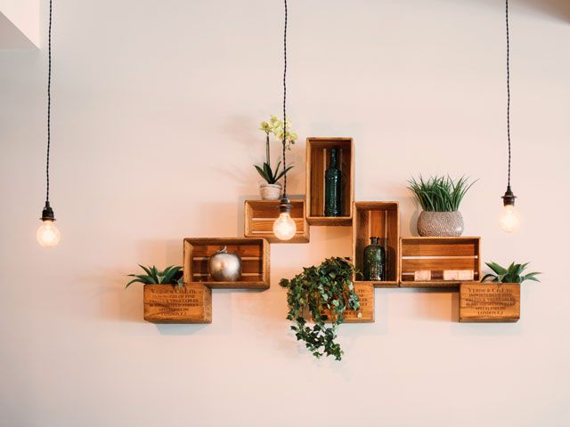 contemporary wall design with crates and plants with modern ceiling lights