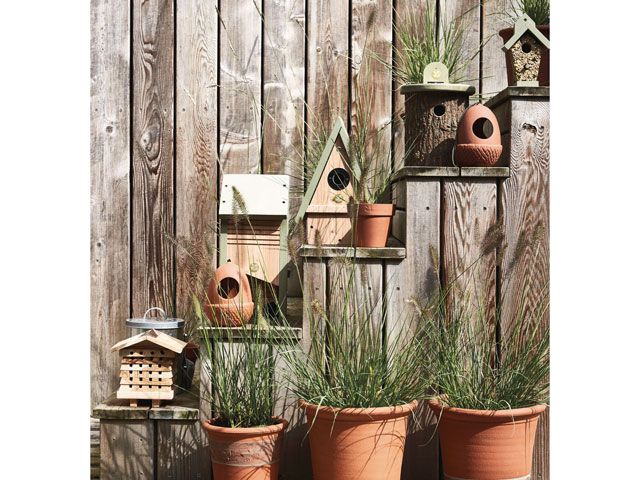 bird boxes with bird feed staggered on outdoor steps to attract wildlife to your garden from National Trust Shop SS19 collection