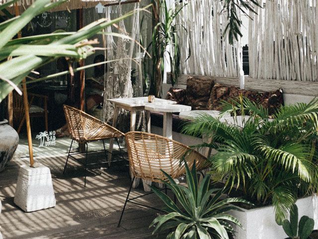 plants in an outdoor space with nature by sonnie hiles