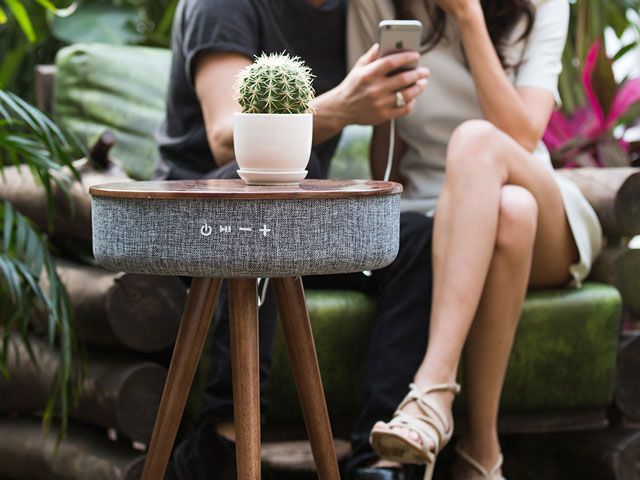 Touchdown Charging audio table in ash wood with cactus and couple outdoors