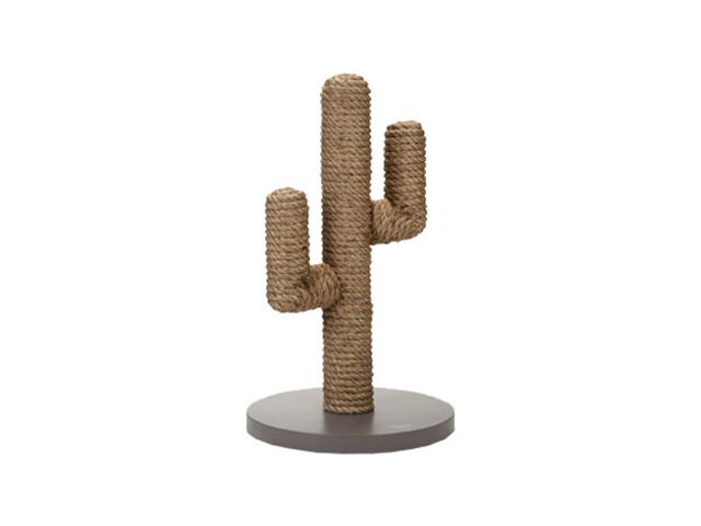 cactus cat scratching post sold on vetsend and designed by lotte krabpaal