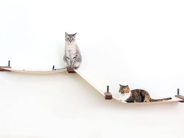 cats sitting on hammocks on wall from pet accessories range at etsy