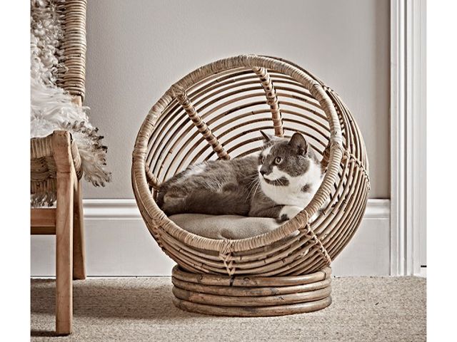 cat in wicker rattan cocoon bed by cox and cox