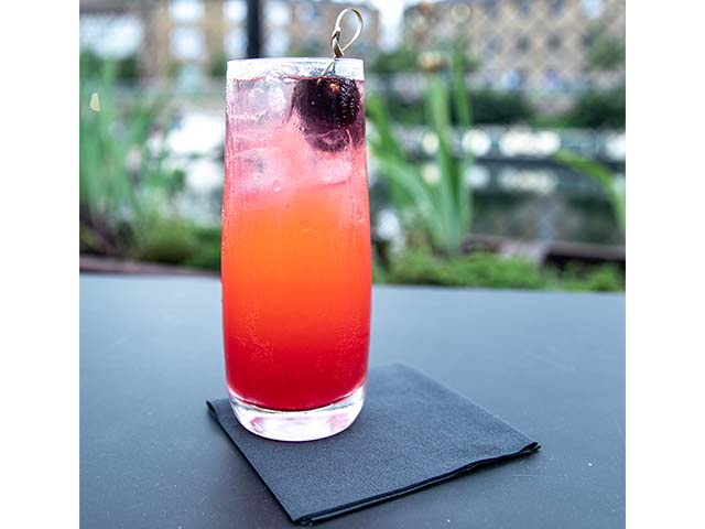 cherry cocktail recipe in tall glass - The Cherry Bee - Love Fresh Cherries - goodhomesmagazine.com