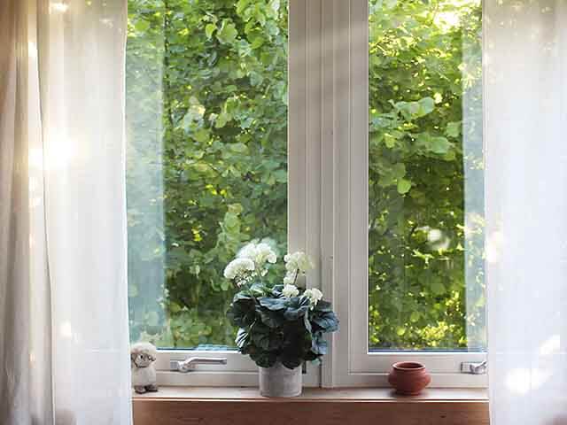 house plant on window sill - how to keep plants alive while on holiday - goodhomesmagazine.com