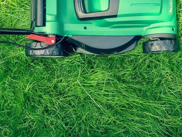 lawn mower on grass - how to keep plants alive while on holiday - goodhomesmagazine.com