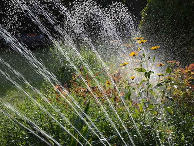 sprinkler in garden - how to keep plants alive while on holiday - goodhomesmagazine.com