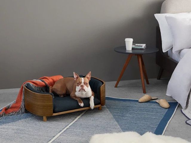 a dog in the walnut dog bed in a bedroom from the stylish pet accessories range at madecom