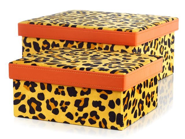 Edited by Erica Davies Set of 2 Leopard Print Storage Boxes