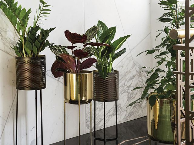 plants amara - 6 ways to cosy up your home for autumn - inspiration - goodhomesmagazine.com