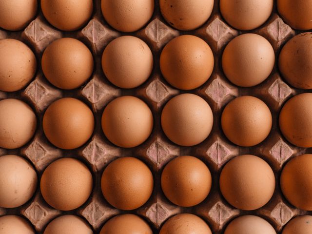 Eggs - Credit: Erol Ahmet