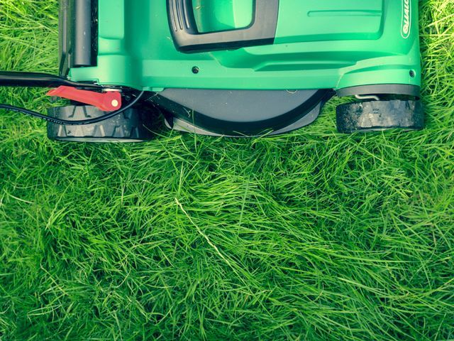 Lawnmower mowing grass: Credit: Daniel Watson