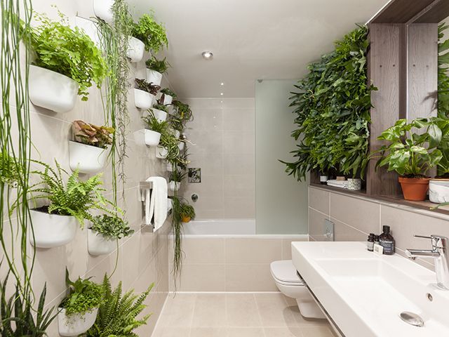 leman locke hotel house plant suite bathroom - news - goodhomesmagazine.com