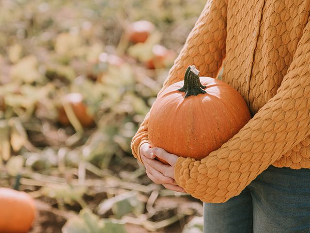 anita austvika pumpkin image - inspiration - goodhomesmagazine.com