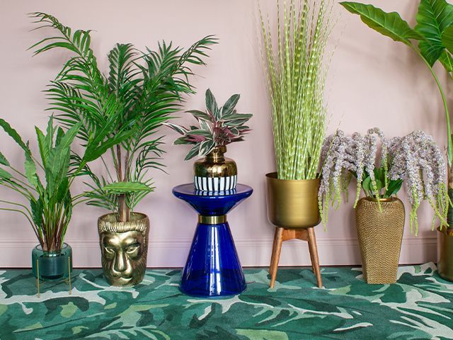 audenza plants - How to style Benjamin Moore's Colour of the Year – 'First Light' - news - goodhomesmagazine.com
