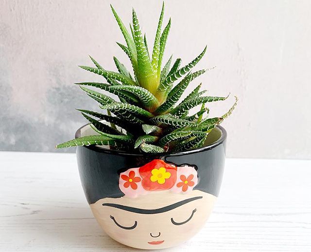 Cache Pot Frida Kahlo planter: Credit: Sass and Belle