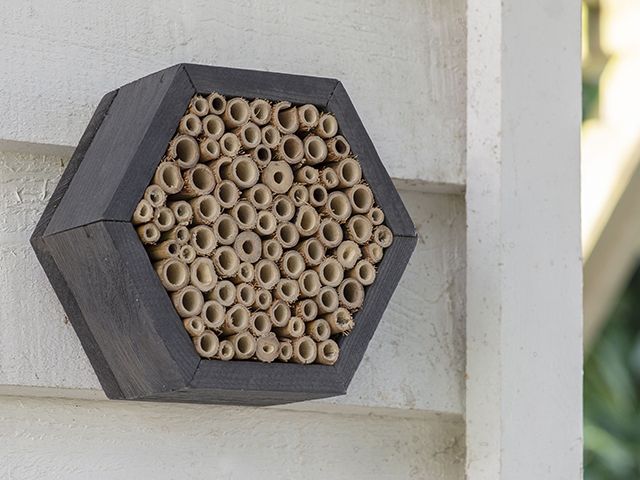 garden trading hexagonal bee house or insect hotel - goodhomesmagazine.com