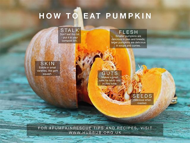 how to eat pumpkin for a more sustainable halloween