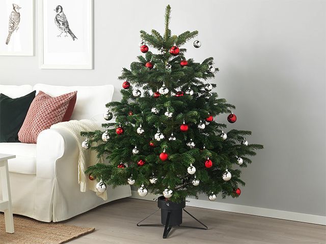 ikea real christmas tree with stand - news - goodhomesmagazine.com