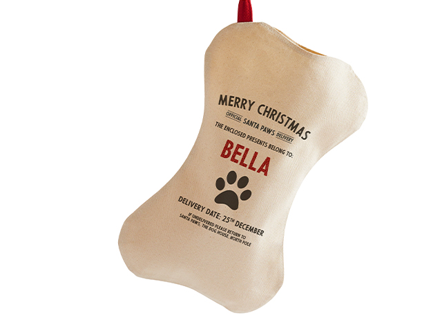 pet stocking