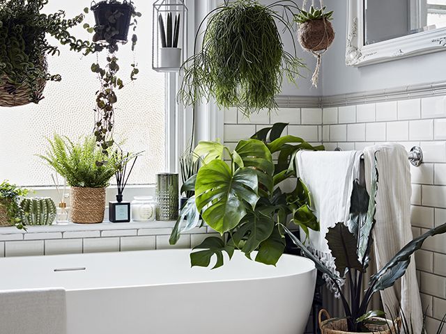 dobbies botanical houseplant bathroom - goodhomesmagazine.com