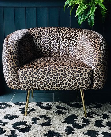 cult furniture leopard chair - leopard homeware we love - inspiration - goodhomesmagazine.com