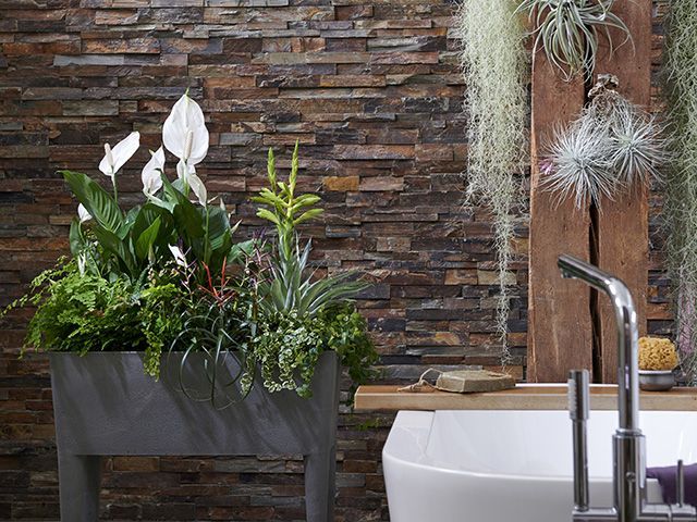 joyofplants.co.uk peace lilies and anthurium - bathroom - goodhomesmagazine.com