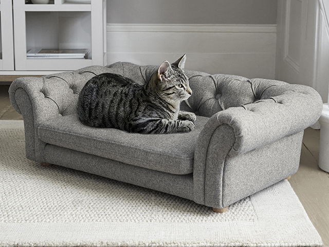 Grey Gosford cat bed that looks like a tiny sofa from Next, £140