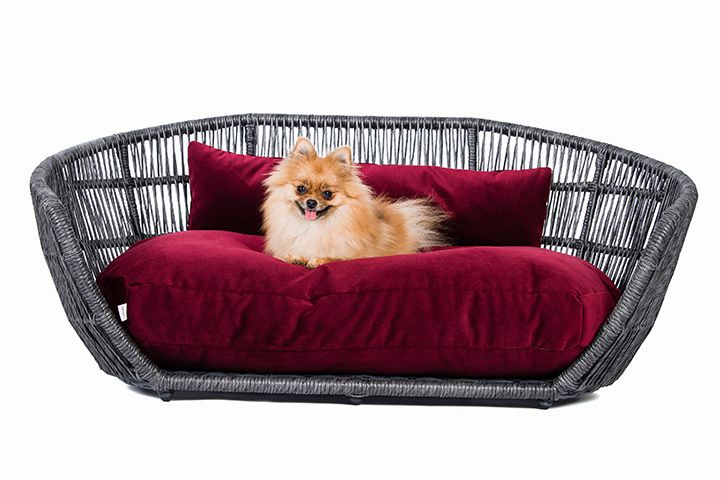 velvet dog bed in black rattan frame from cuckooland 