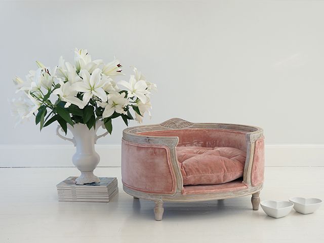 french louis style dog bed from French Bedroom Company