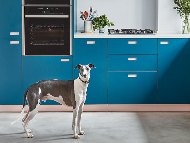 pluck london atlantic blue kitchen - goodhomesmagazine.com