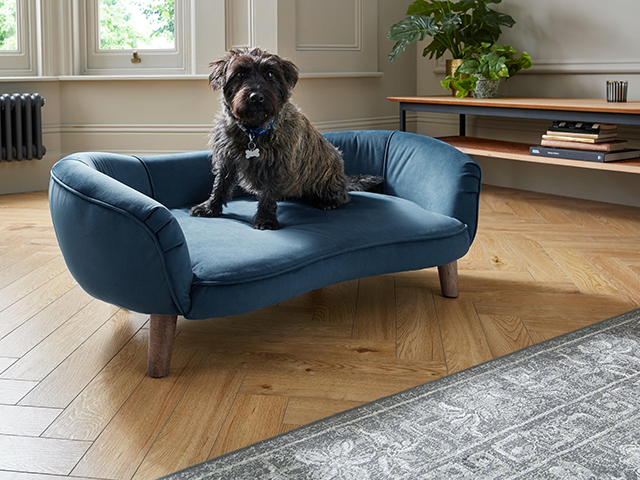 Perle Dog Sofa, £349, Sofology | Good Homes Magazine